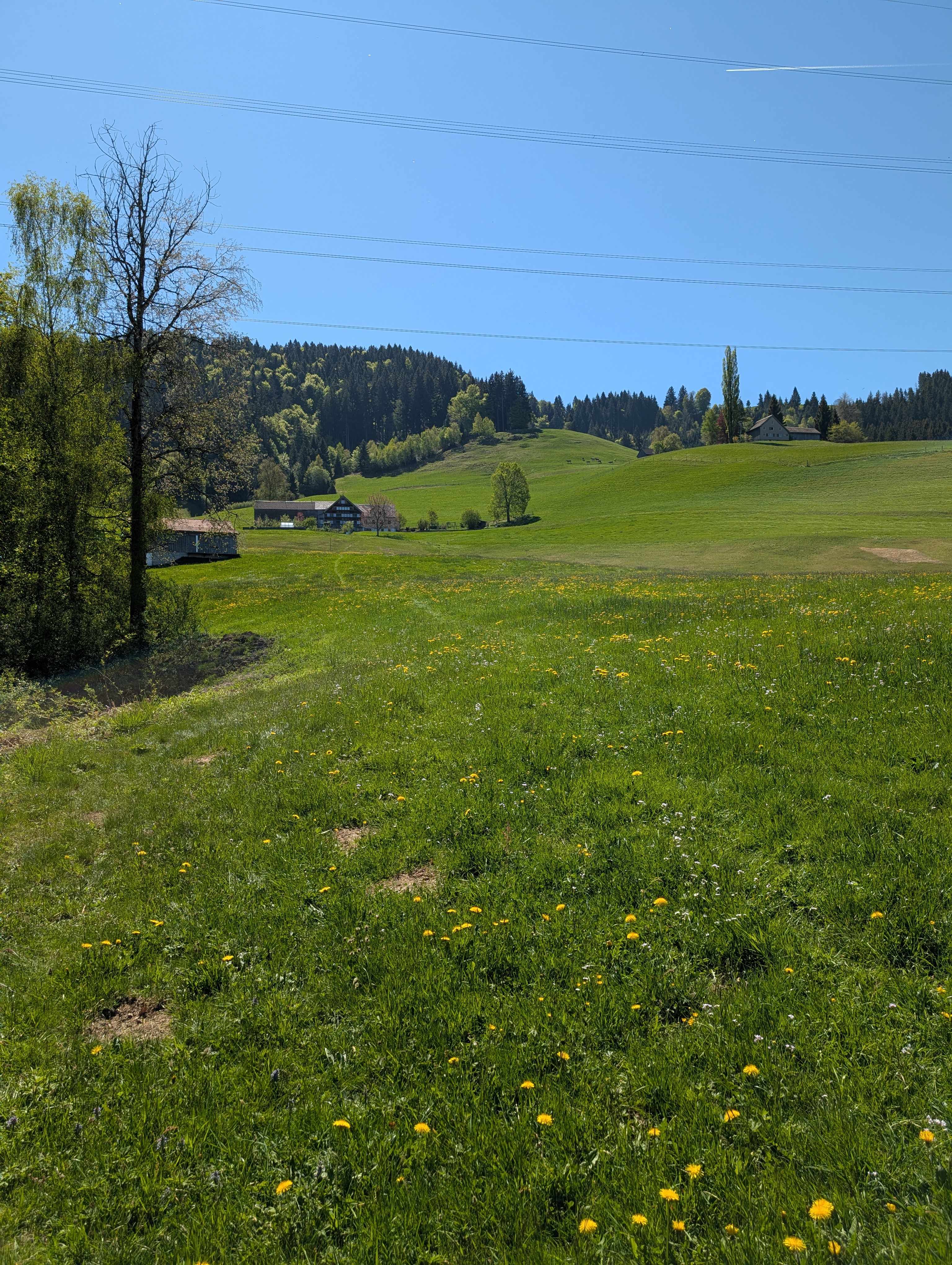 Schönengrund Richtung Hochhamm