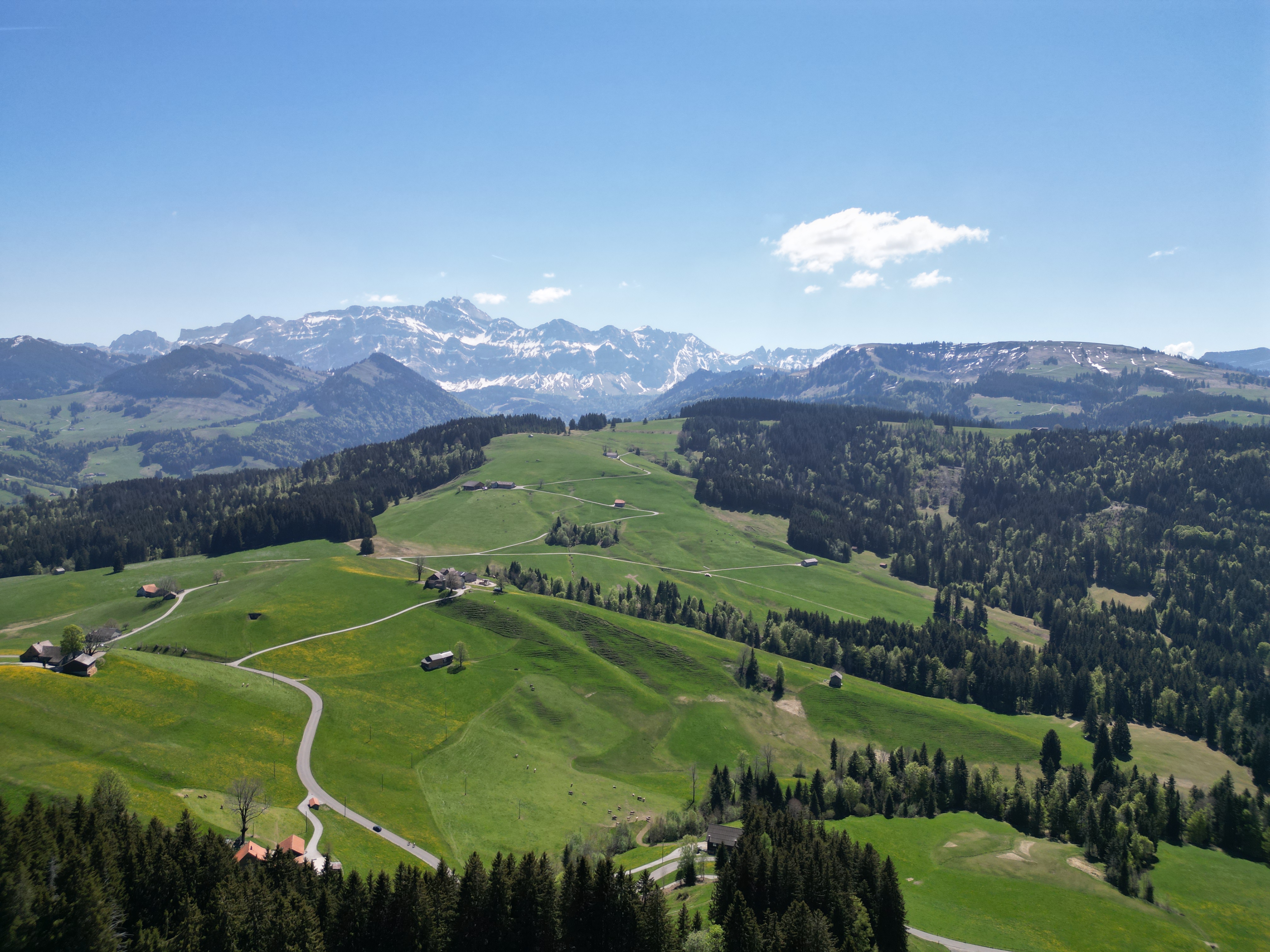 Panorama mit Säntis