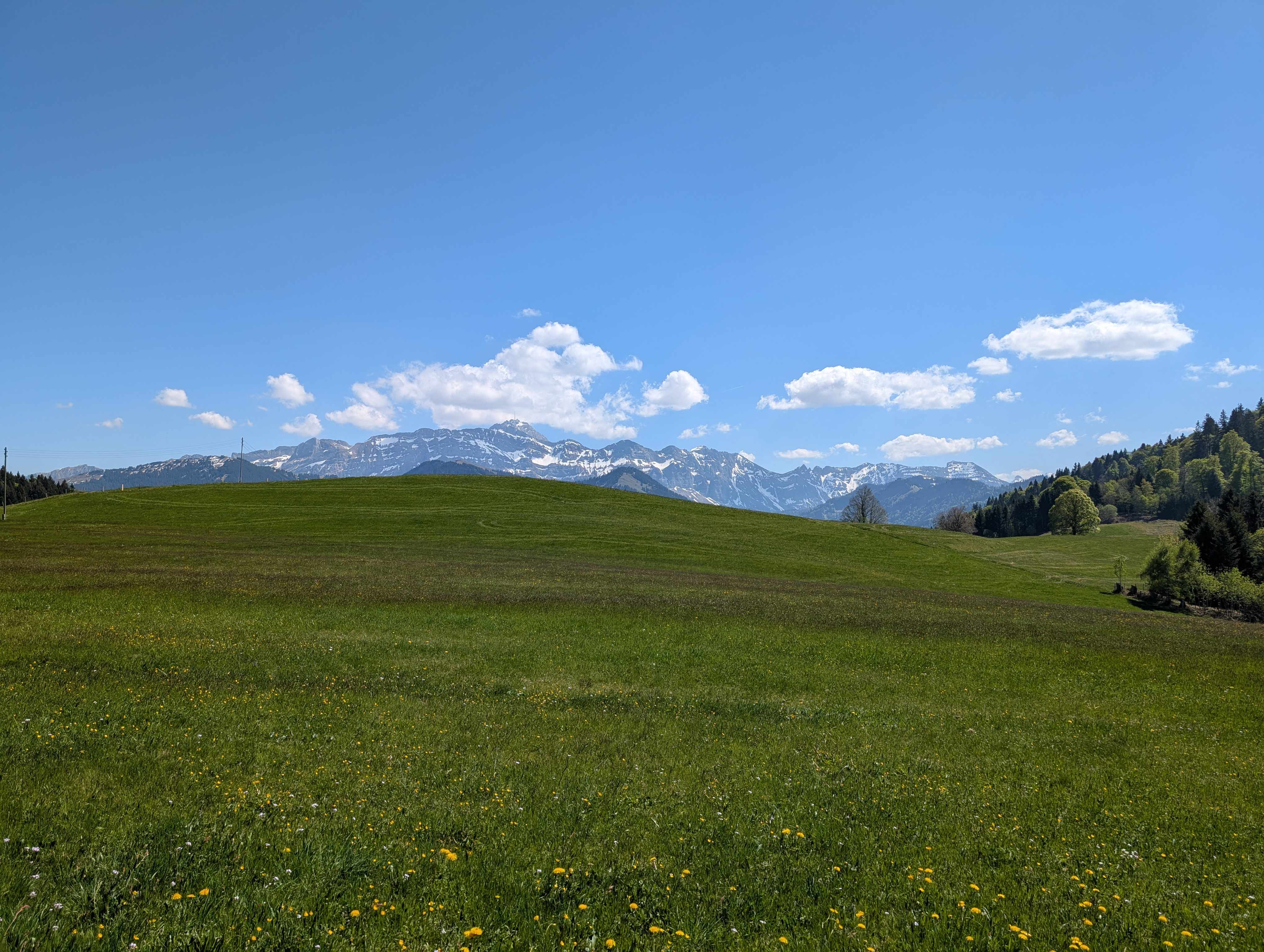 Panorama Säntis