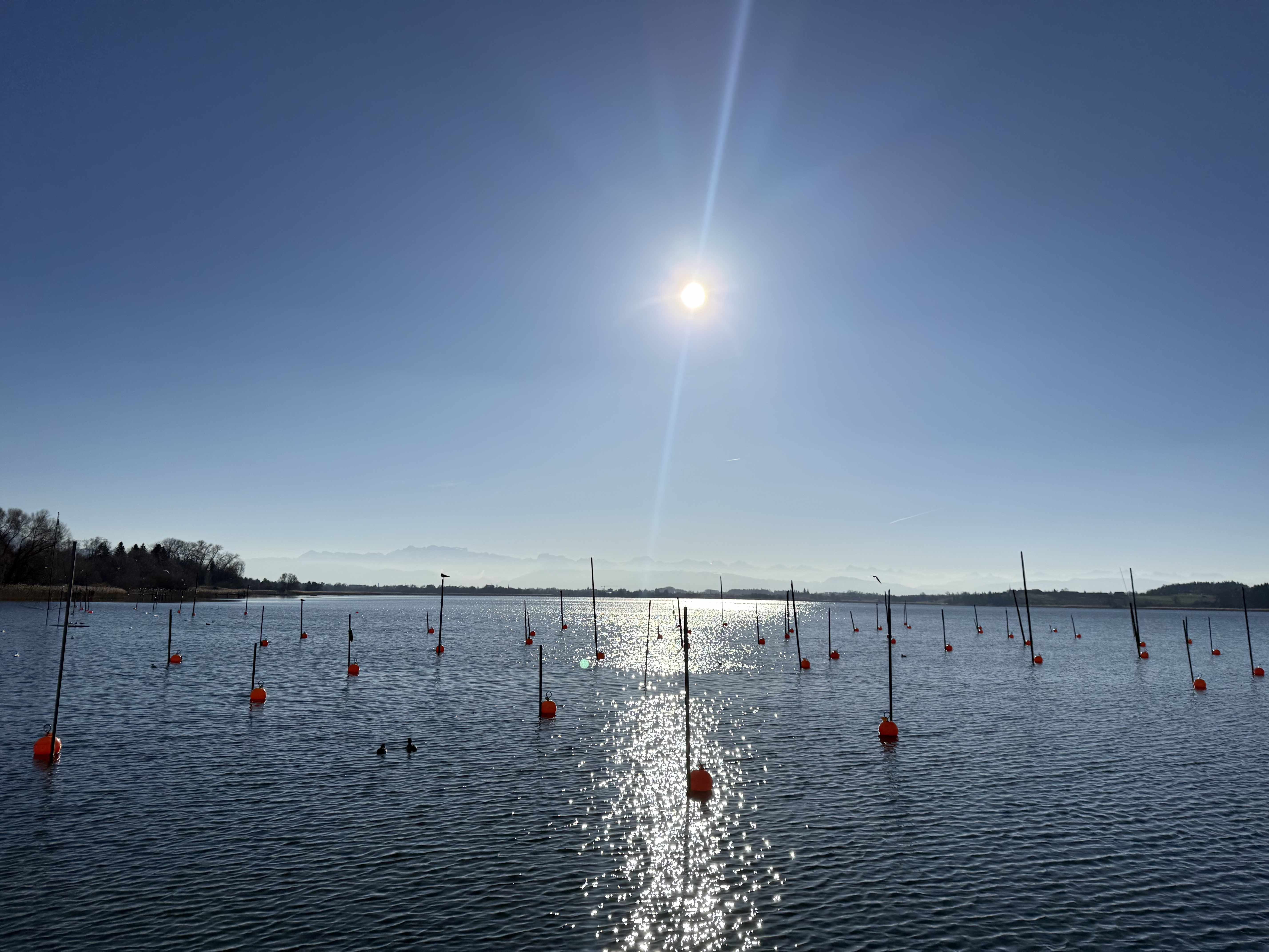 Pfäfikon Seepromenade