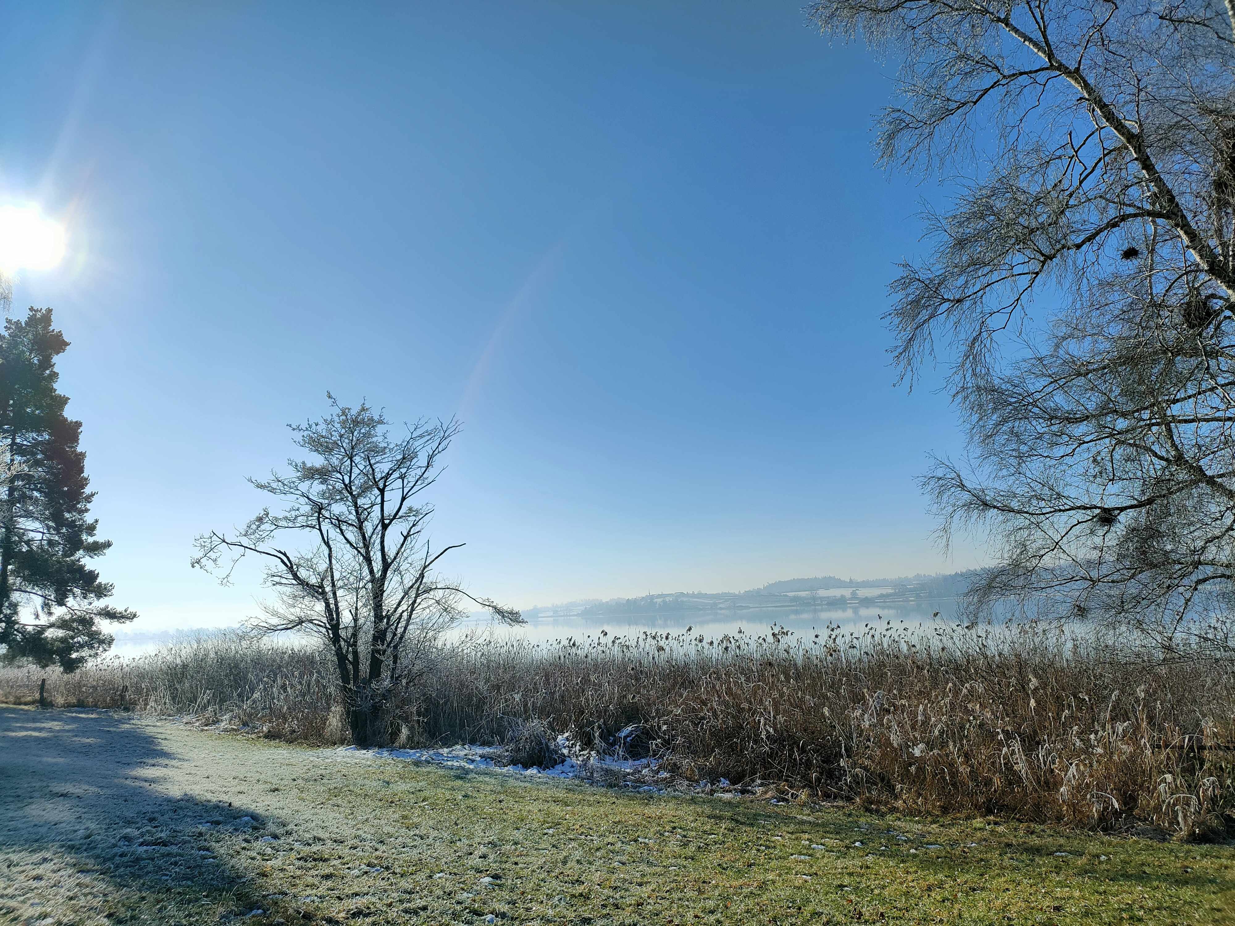 Pfäffikersee im Herbst