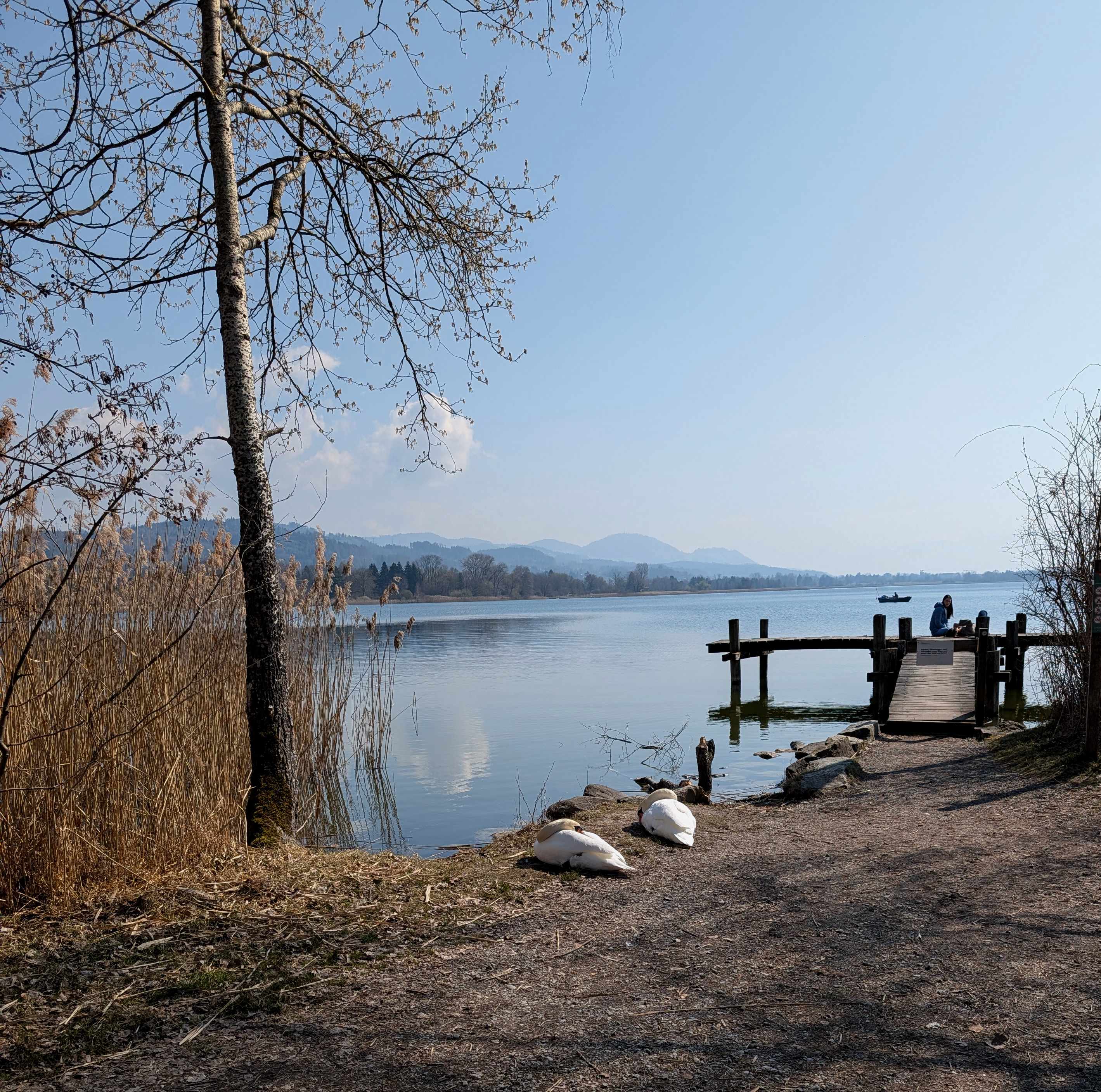 Steg bei Pfäffikon