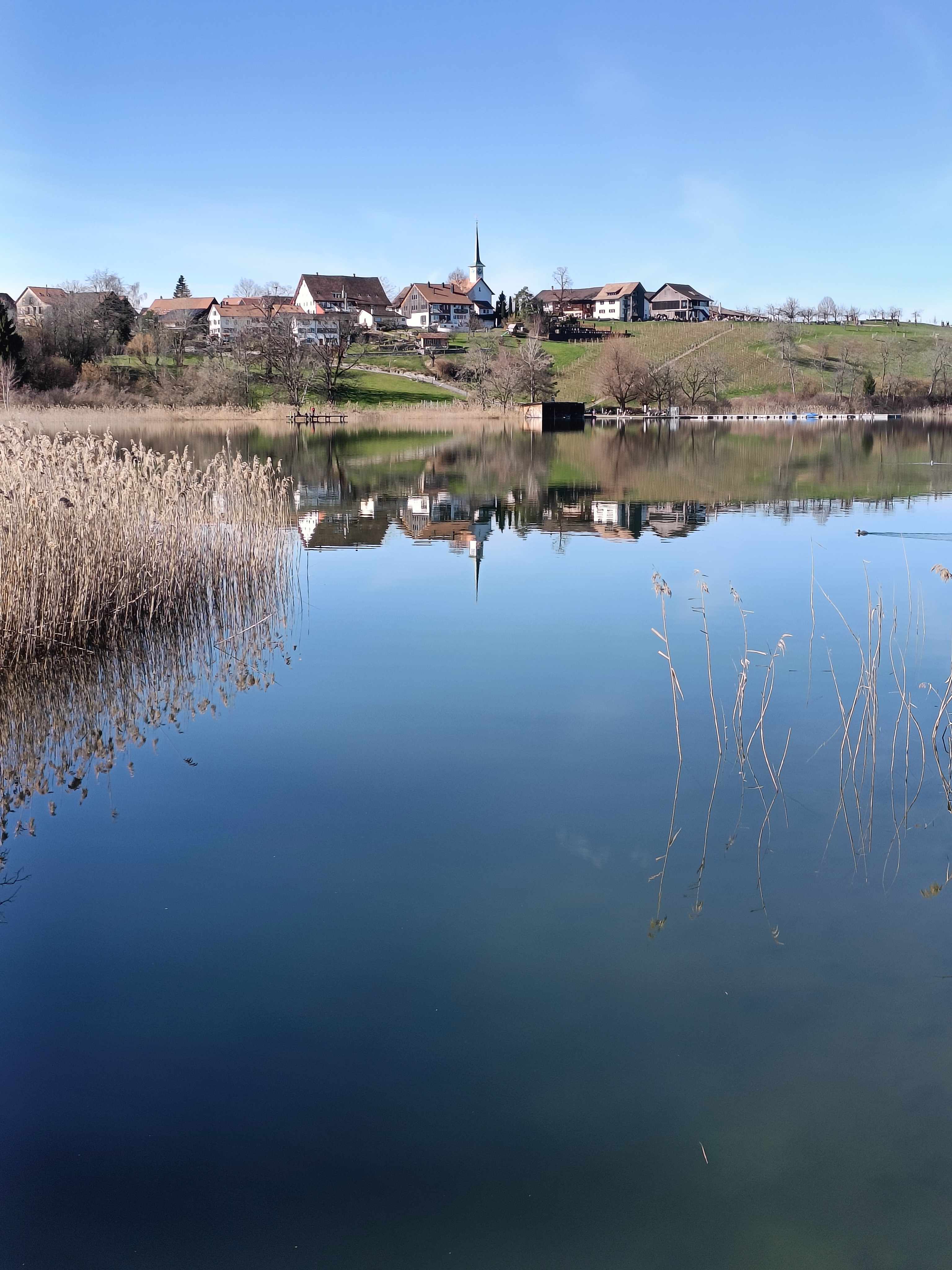 Seegräben - Juckerfarm