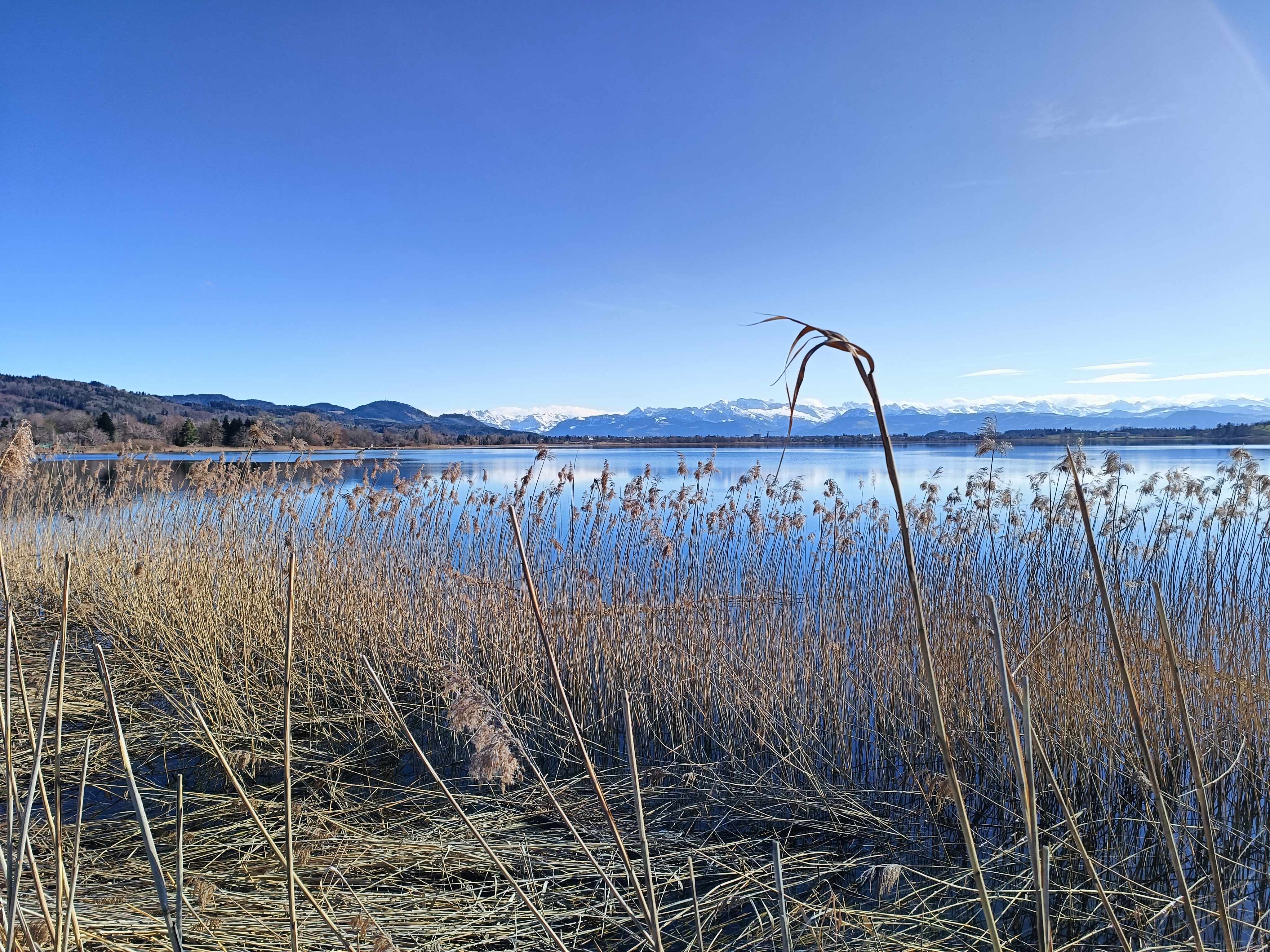 Pfäffikersee Bergpanorama