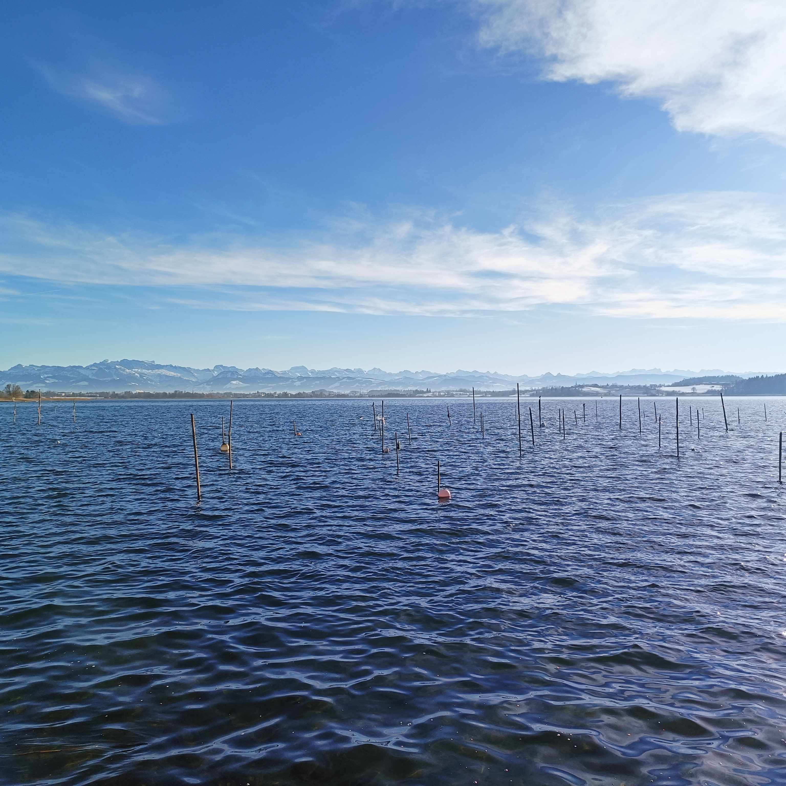 Pfäffikersee