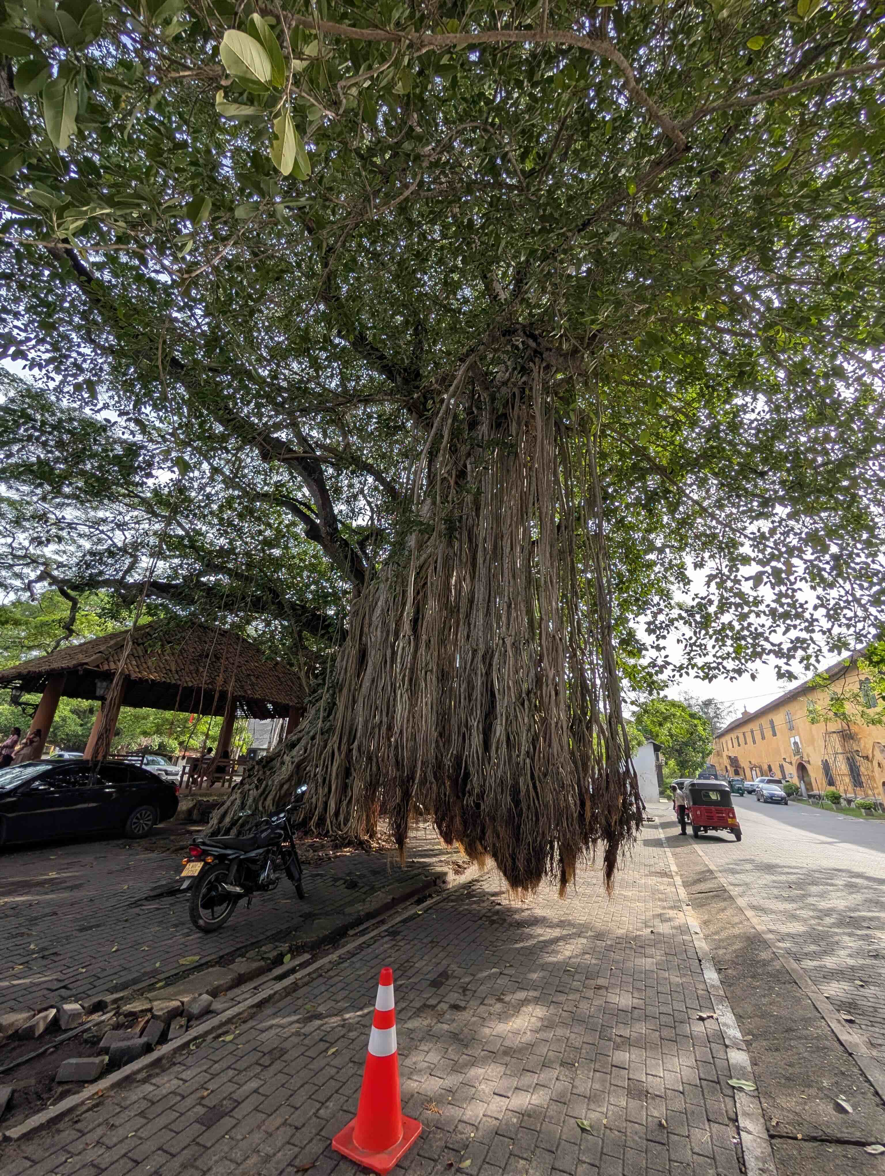 Sri Lanka