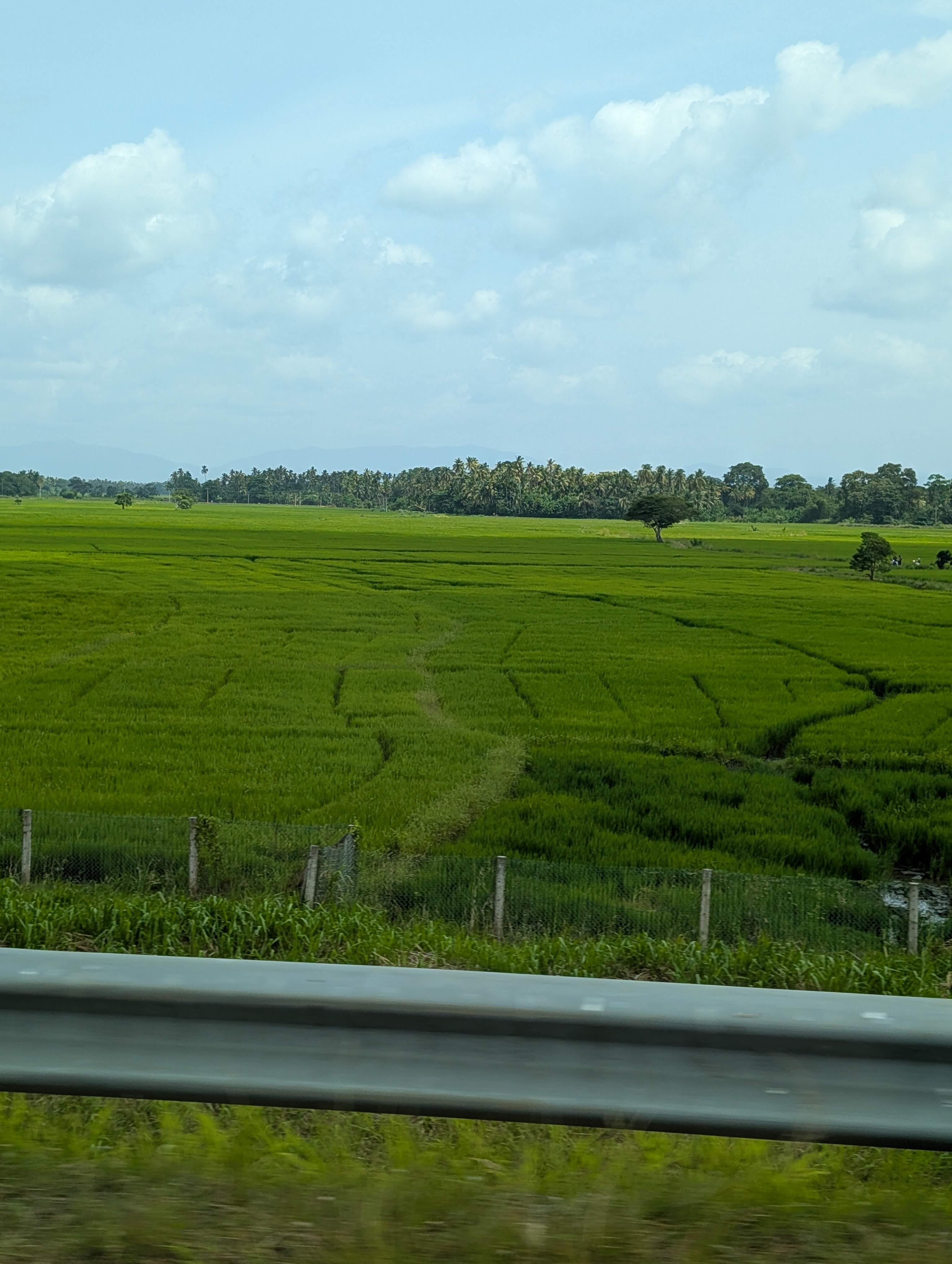 Sri Lanka