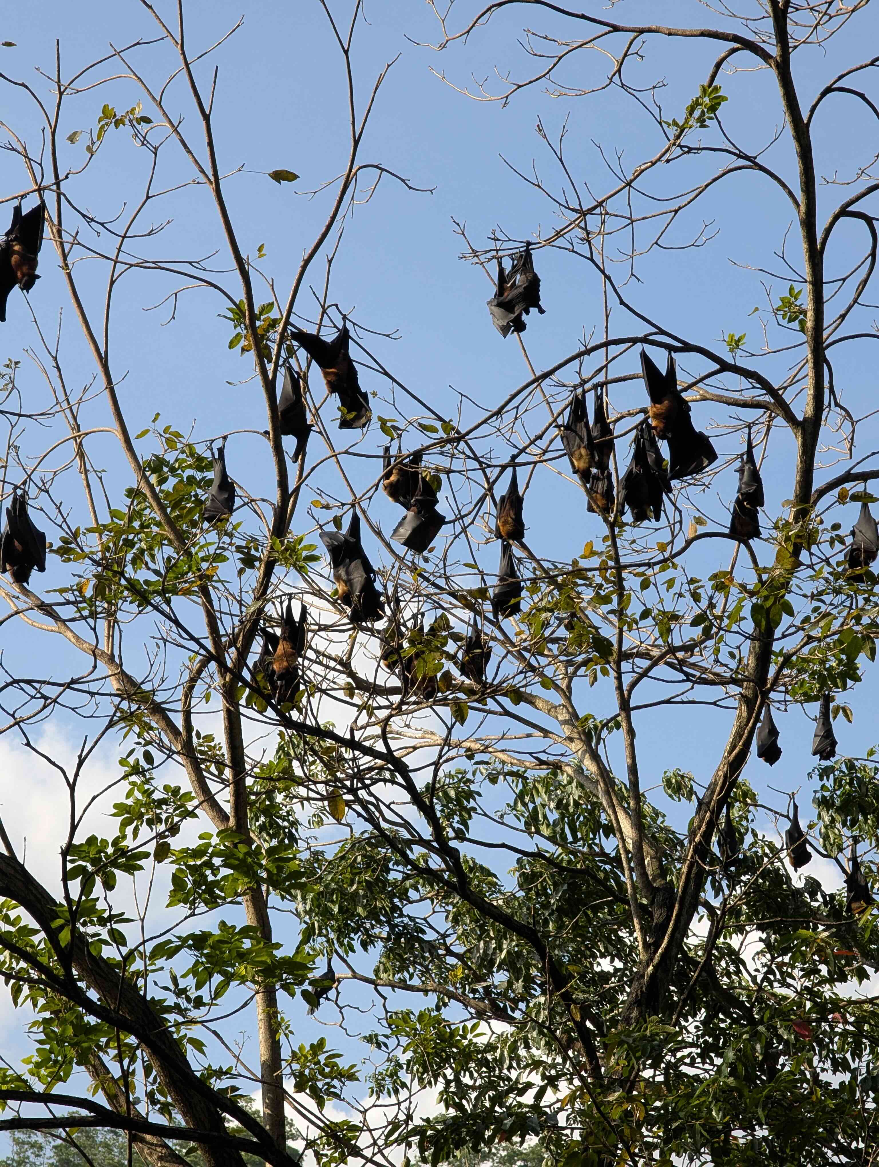 Sri Lanka