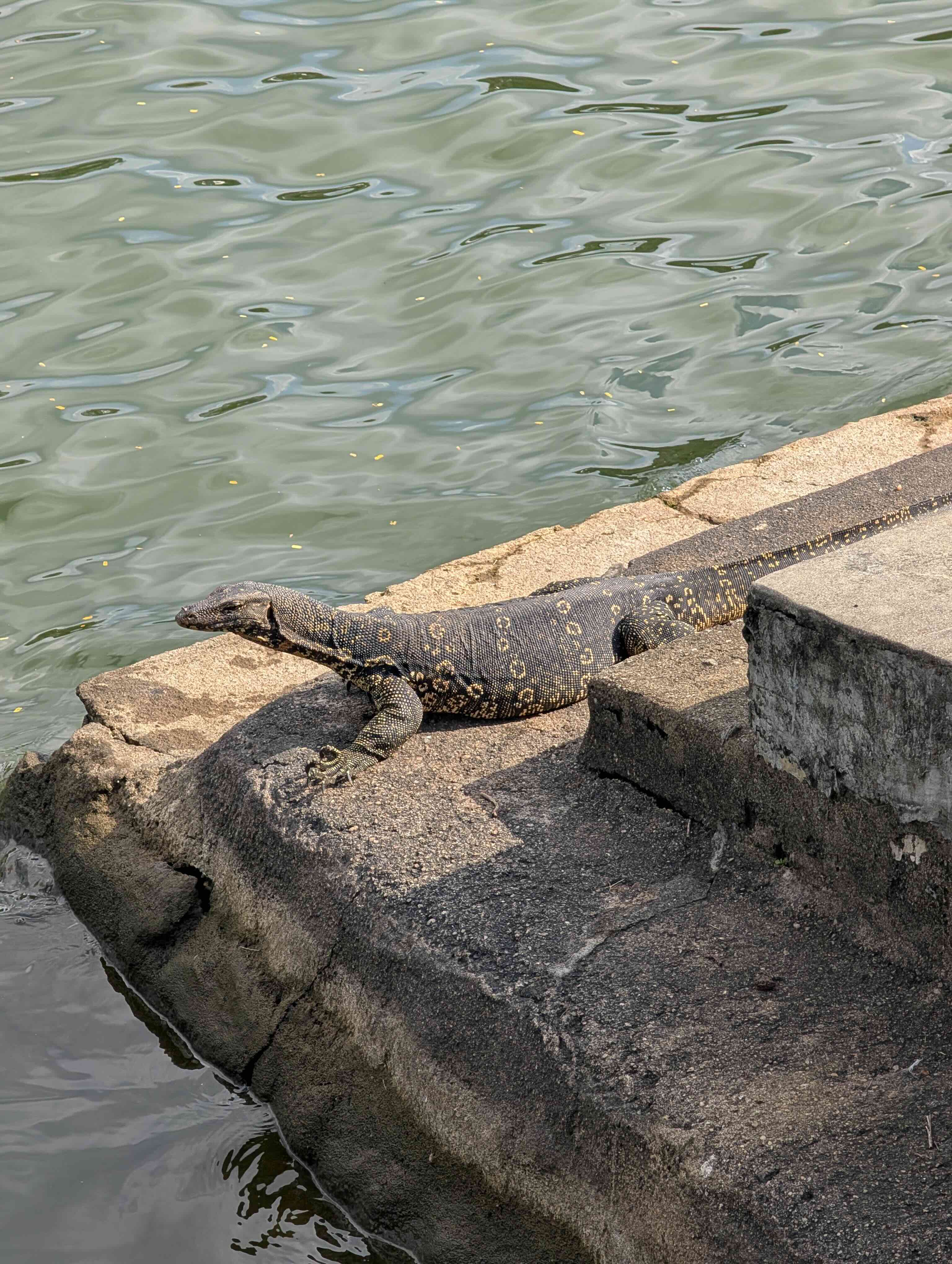 Sri Lanka