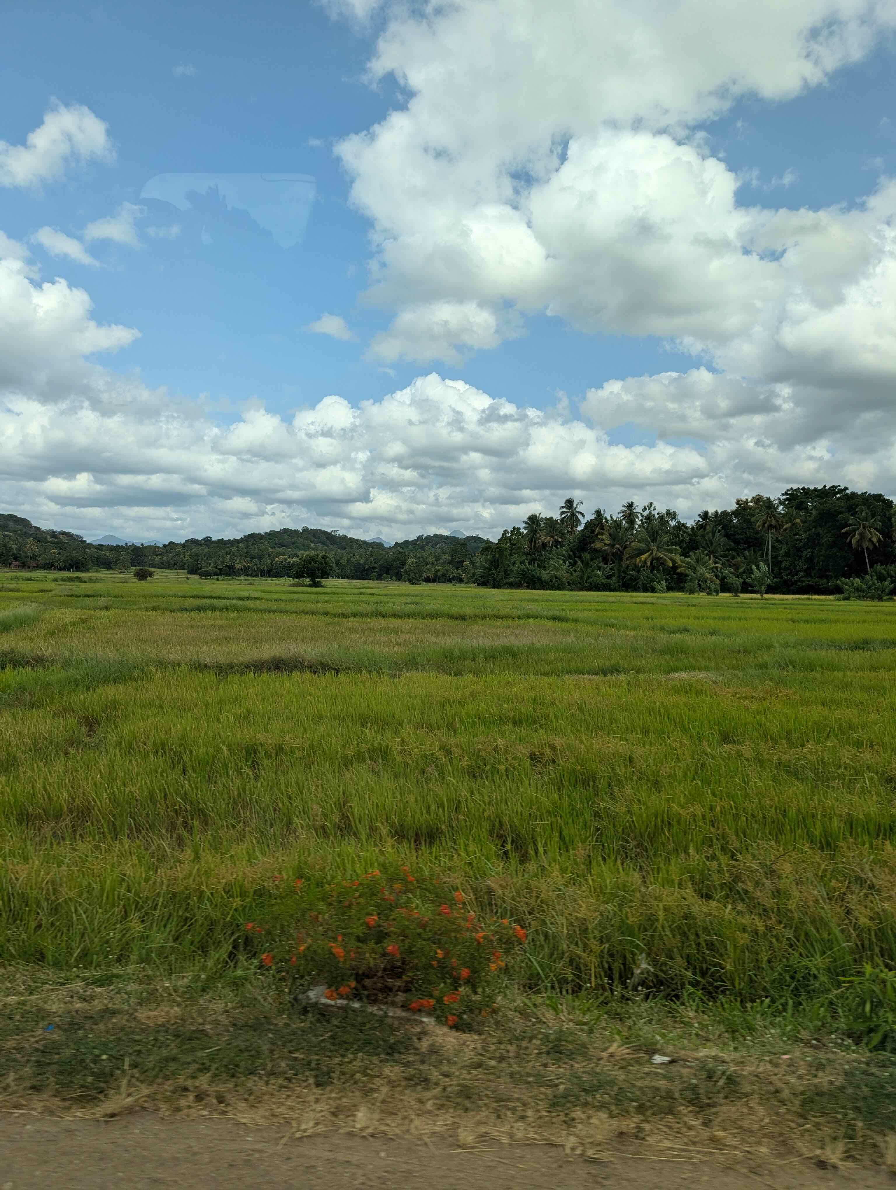Sri Lanka