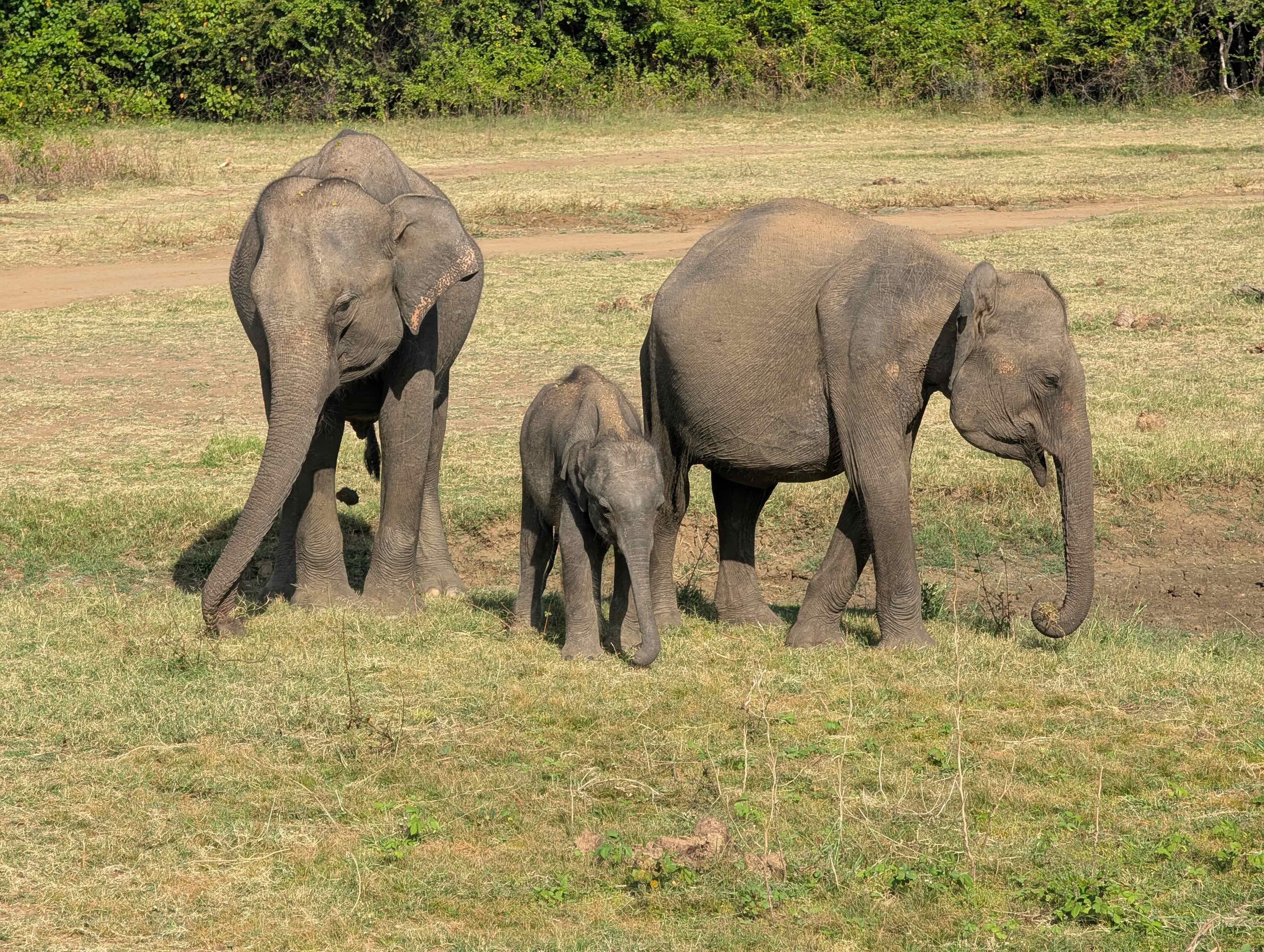 Sri Lanka