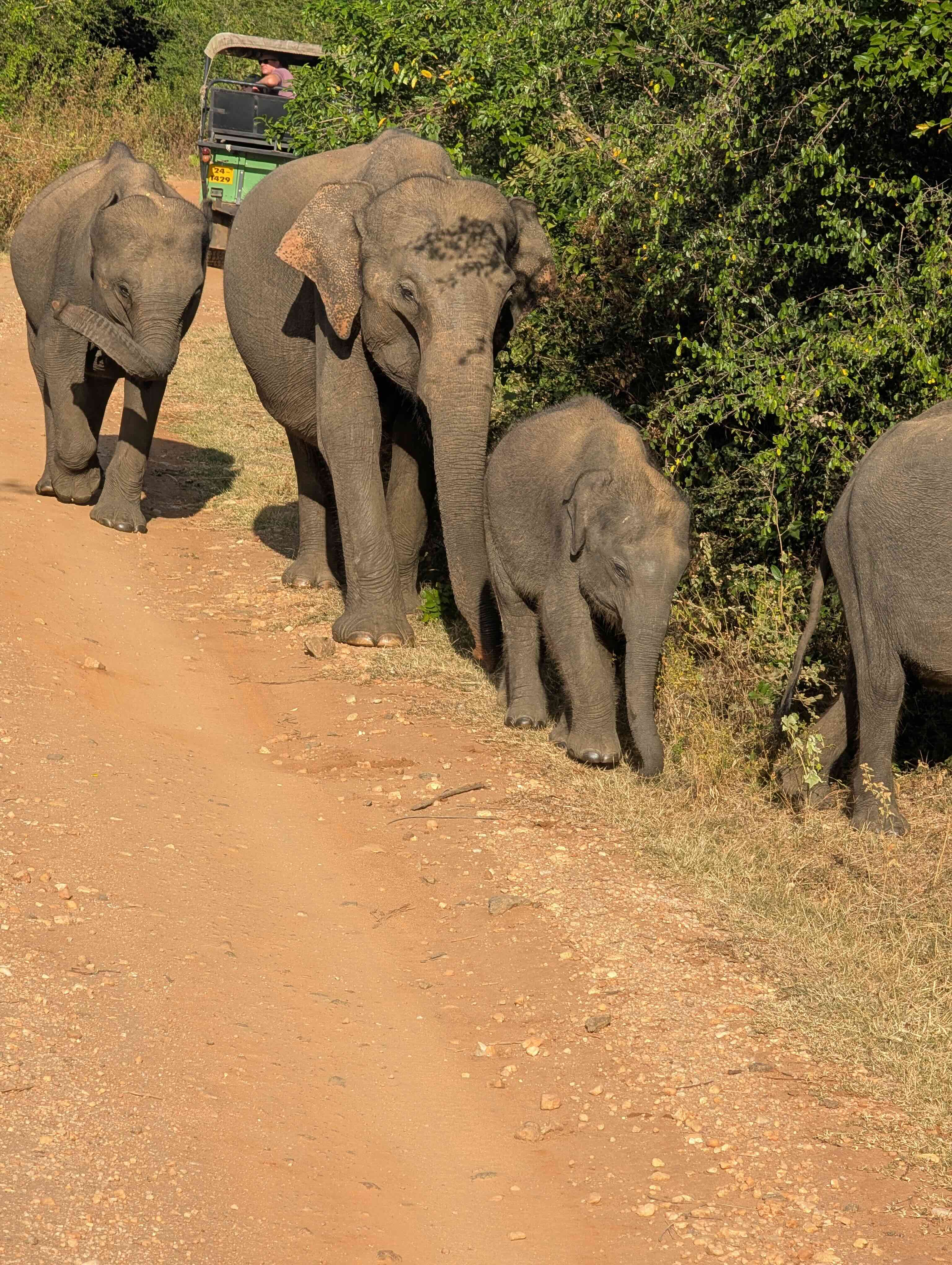 Sri Lanka