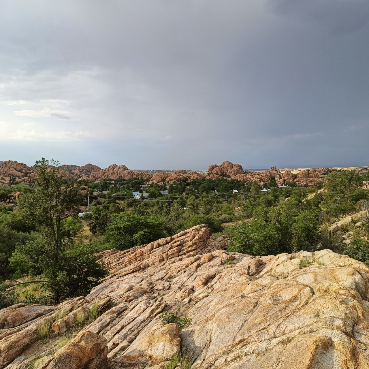 Prescott